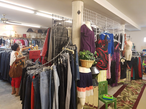 Thrift Store «Hill Country Senior Citizens Thrift Shop», reviews and photos, 1310 US-290, Dripping Springs, TX 78620, USA