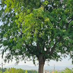 Photo n°7 de l'avis de Krzysztof.m fait le 21/07/2023 à 18:32 sur le  Villa Castiglione Hotel & Ristorante à Impruneta