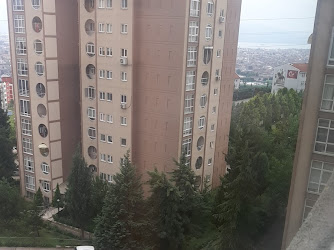 Güroğlu Oto Takograf