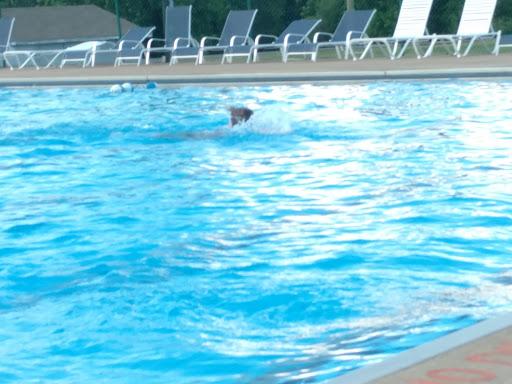 Country Club «Calvert City Golf & Country Club», reviews and photos, 123 Country Club Ln, Calvert City, KY 42029, USA