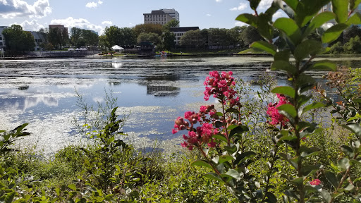 Amphitheater «Merriweather Post Pavillion», reviews and photos, 10475 Little Patuxent Pkwy, Columbia, MD 21044, USA