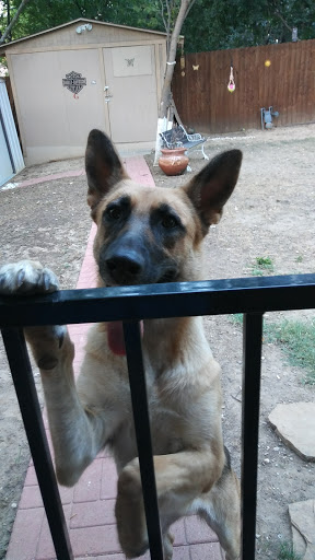 Pet Supply Store «Pet Supplies Plus», reviews and photos, 1704 Greenville Ave, Dallas, TX 75206, USA