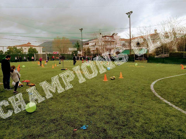 Opinii despre Champions Club Γέρακα 5x5 7x7 în Γέρακας - Αθλητικό συγκρότημα