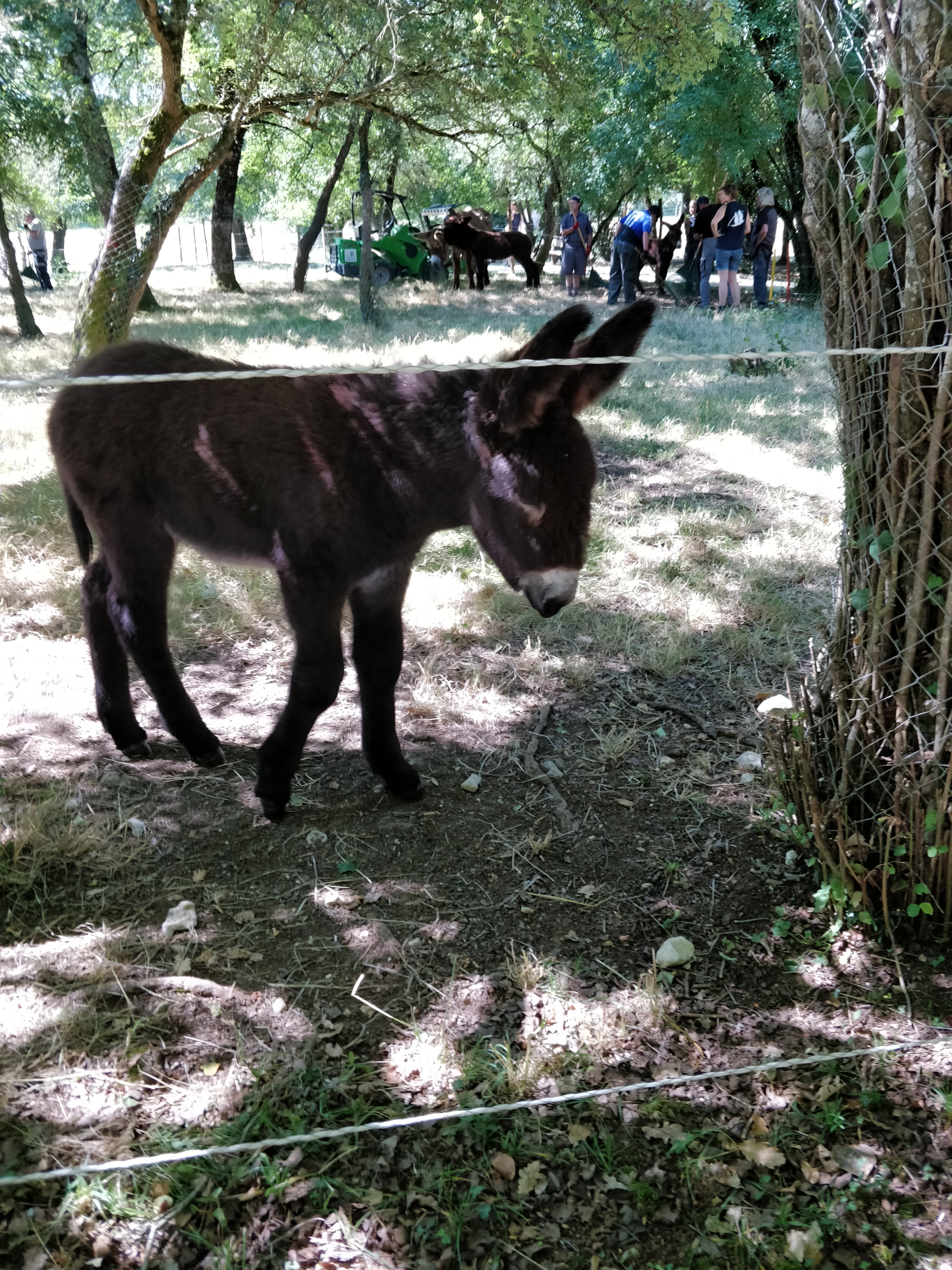 Photo n° 2 de l'avis de Morgane.o fait le 13/07/2020 à 11:47
