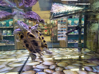 Petco - Photo 9 - Car repair in Amherst, NH, Nashua