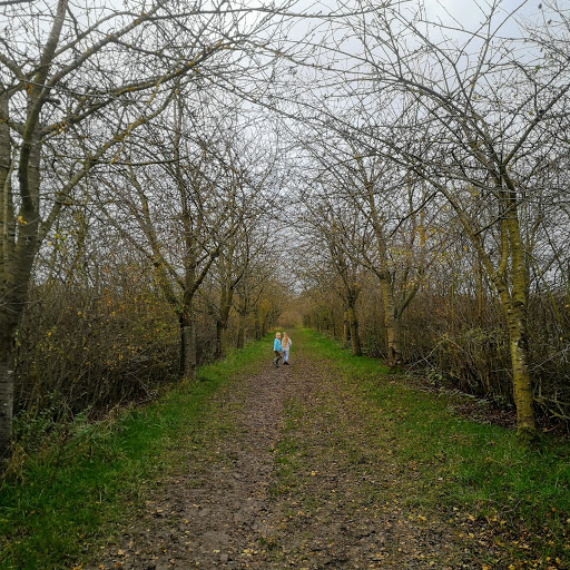 Rother Valley Country Park