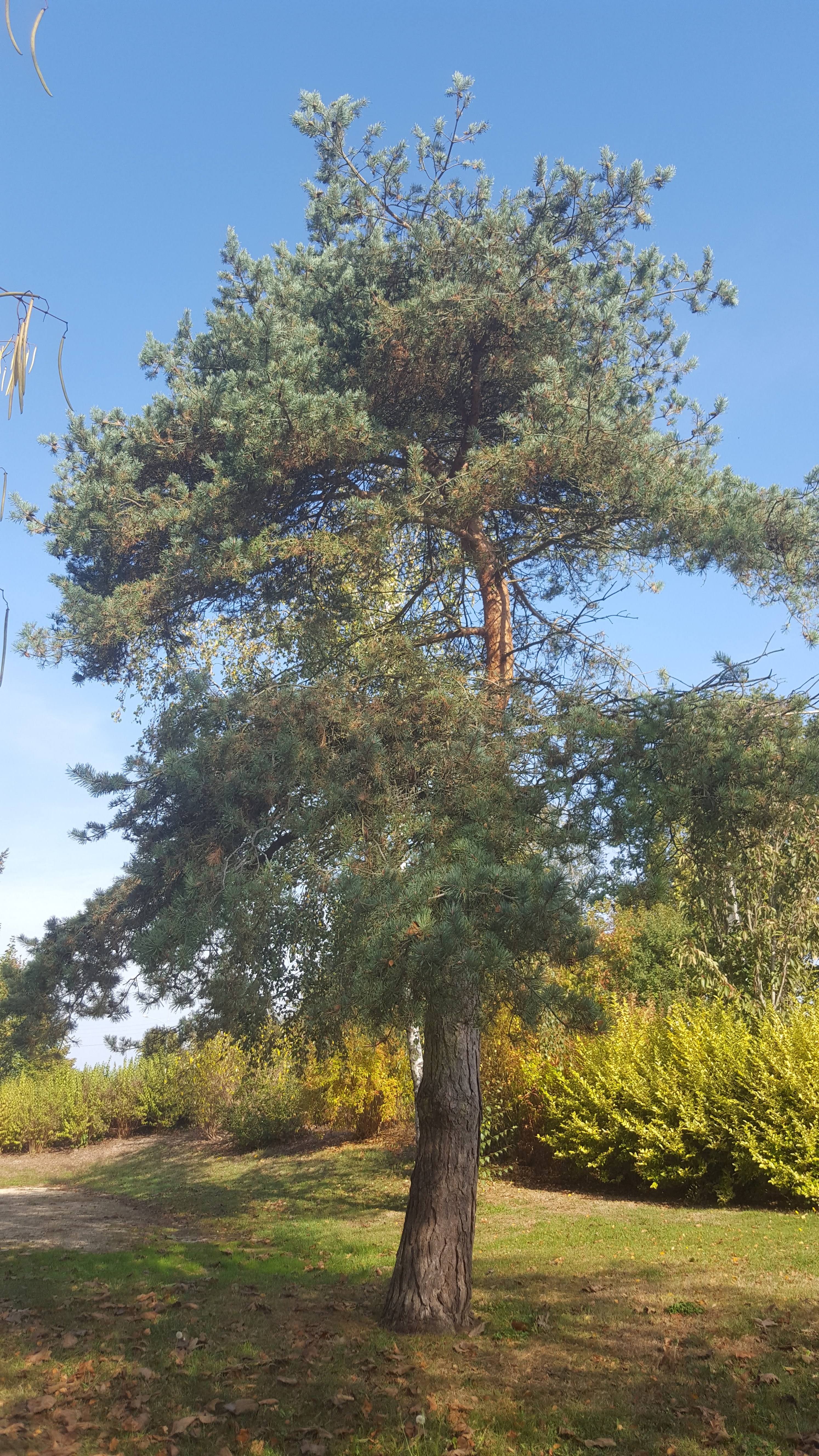 Photo n° 5 de l'avis de Cathie.a fait le 20/10/2018 à 14:57