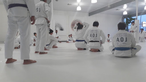 Art of Jiu Jitsu Academy image