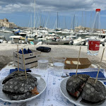 Photo n°1 de l'avis de Cristian.o fait le 24/07/2023 à 11:16 sur le  Paninart Trani à Trani