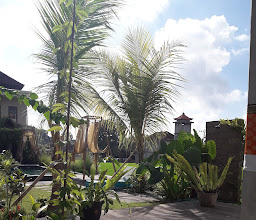 Adi Santia Bungalow photo