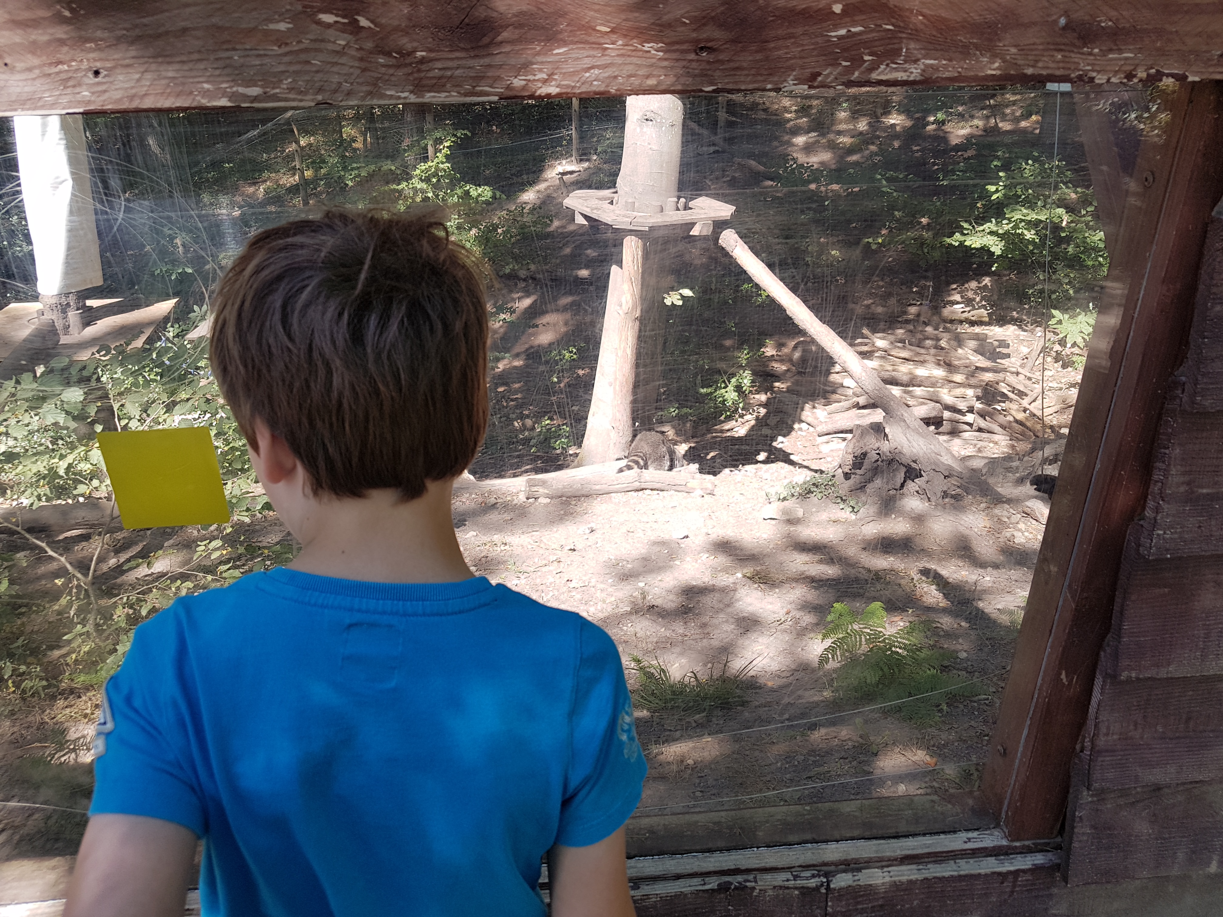 Photo n° 2 de l'avis de Anthony. fait le 28/07/2020 à 15:52