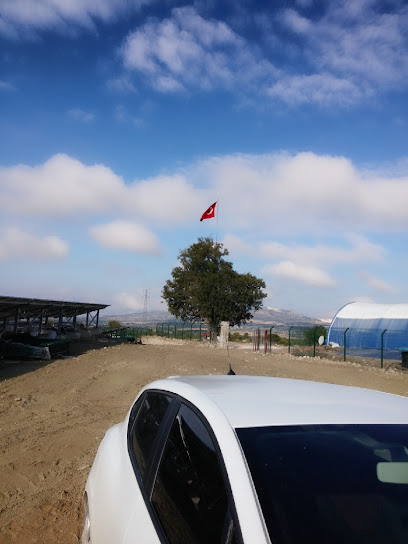 Anadolu Solar GES