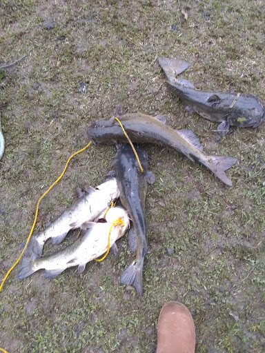 Community Center «Shamrock Community Use Building», reviews and photos, 2610 Shamrock Rd, Jonesboro, GA 30236, USA