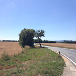 Photo n°1 de l'avis de Wegführer.a fait le 26/07/2018 à 17:32 sur le  Spree-Pension à Bautzen