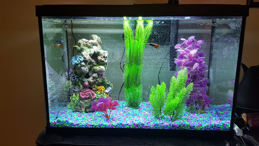 Pet Supply Store «PetSmart», reviews and photos, 140 Barrington Rd, Schaumburg, IL 60194, USA