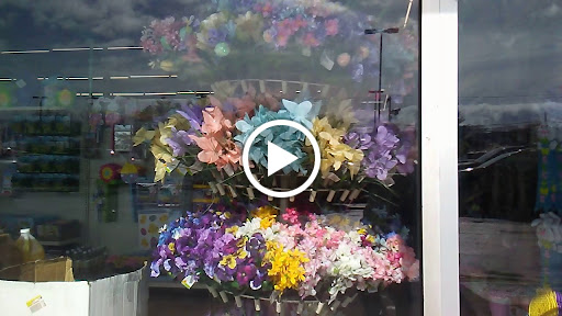 Dollar Store «Dollar Tree», reviews and photos, 3578 PA-611 #205, Bartonsville, PA 18321, USA