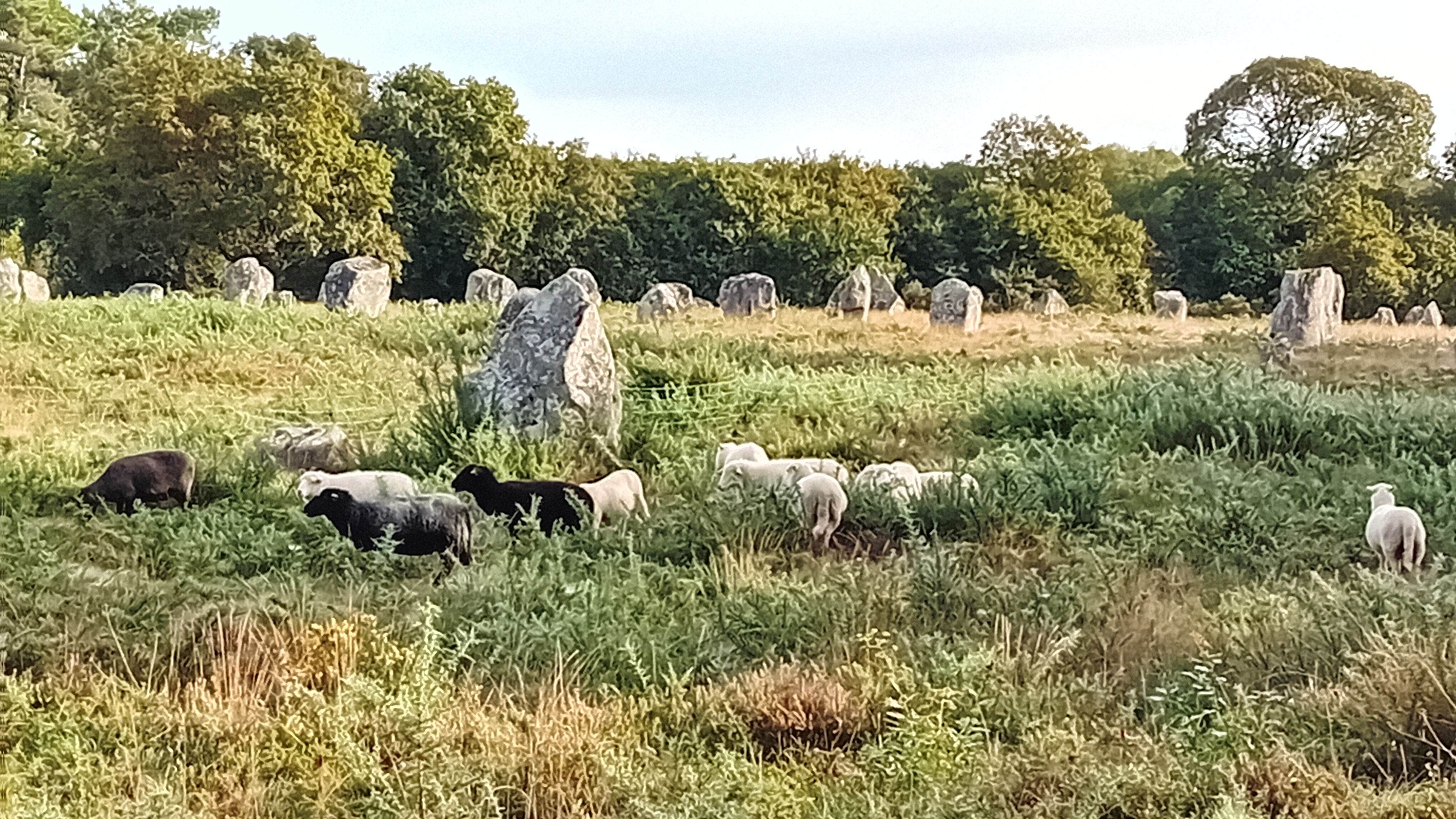 Photo n° 1 de l'avis de Domi.o fait le 06/10/2023 à 19:41