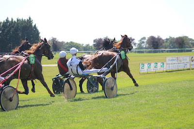 Hippodrome De La Bergeyre Eauze à Bascous