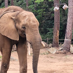 Photo n° 1 de l'avis de Nathalie.o fait le 28/09/2023 à 08:40 pour Zoo de La Flèche à La Flèche