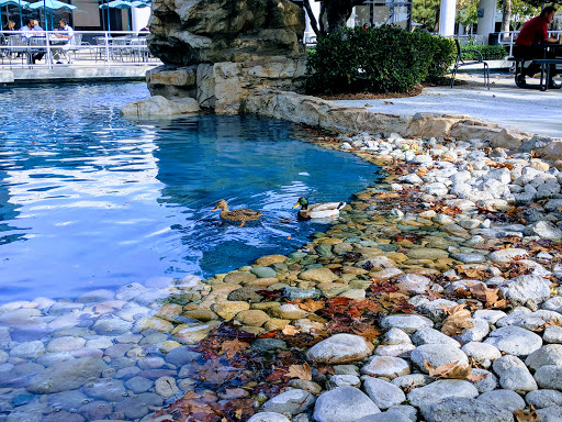 Insurance Agency «AAA», reviews and photos