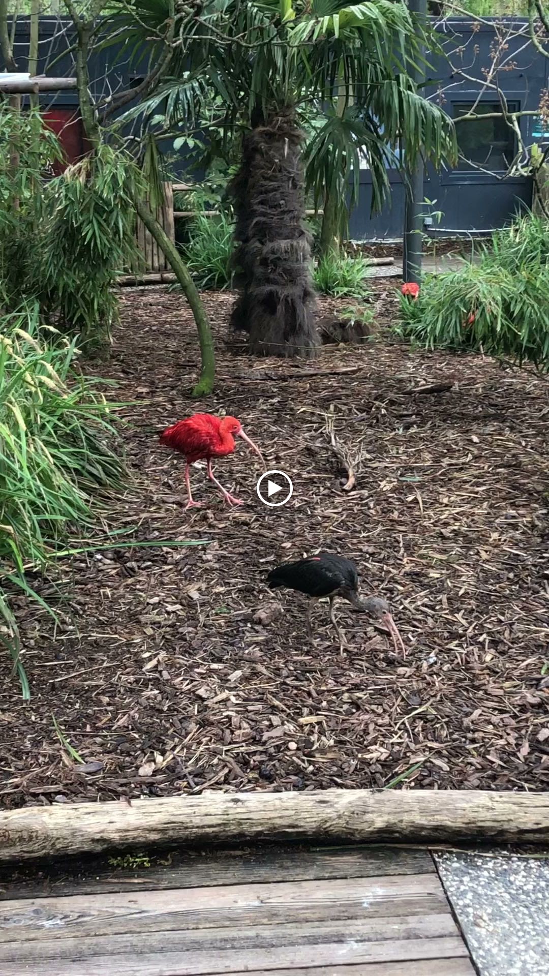 Photo n° 13 de l'avis de R. fait le 25/04/2023 à 06:22