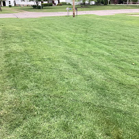 TruGreen Lawn Care - Photo 2 - Car repair in , Erie