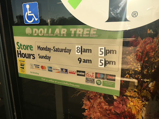 Dollar Store «Dollar Tree», reviews and photos, 505 N Ankeny Blvd, Ankeny, IA 50023, USA
