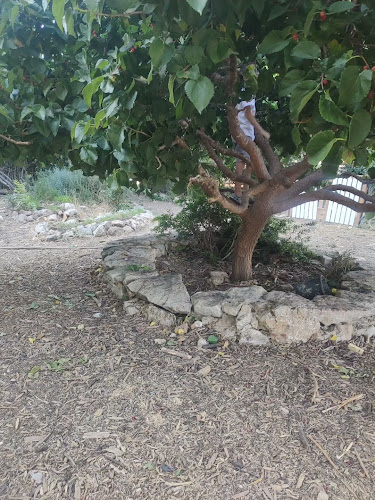 גינה קהילתית בית הכרם - אחר