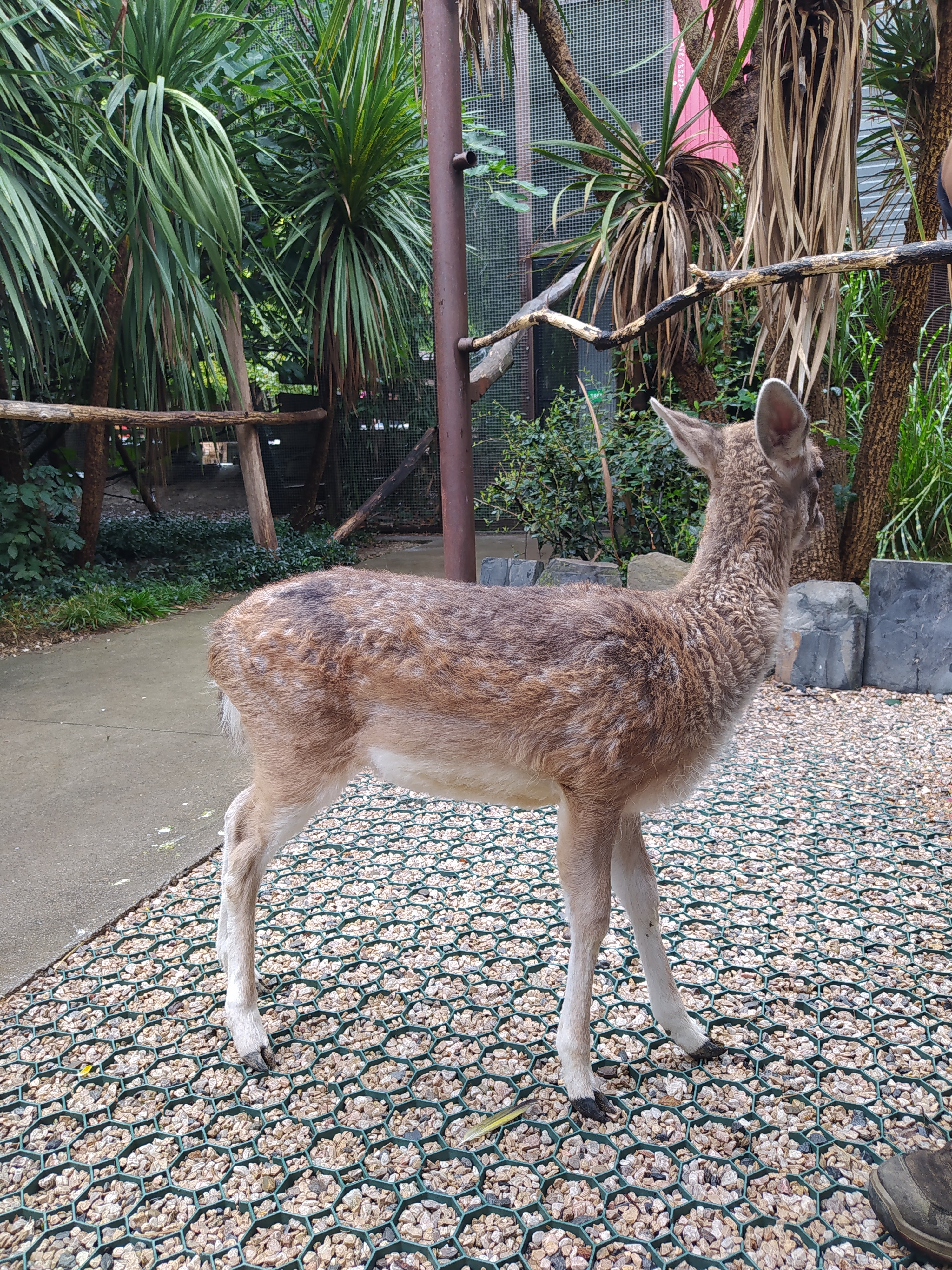 Photo n° 5 de l'avis de Raphael.. fait le 27/08/2023 à 16:43