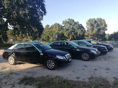 Maia & Figueira Taxis Lda