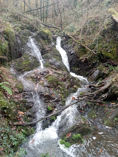 Gorge de la tourmente à Juillac