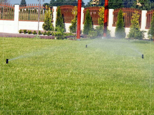 Jaworowa 19, 43-600 Jaworzno