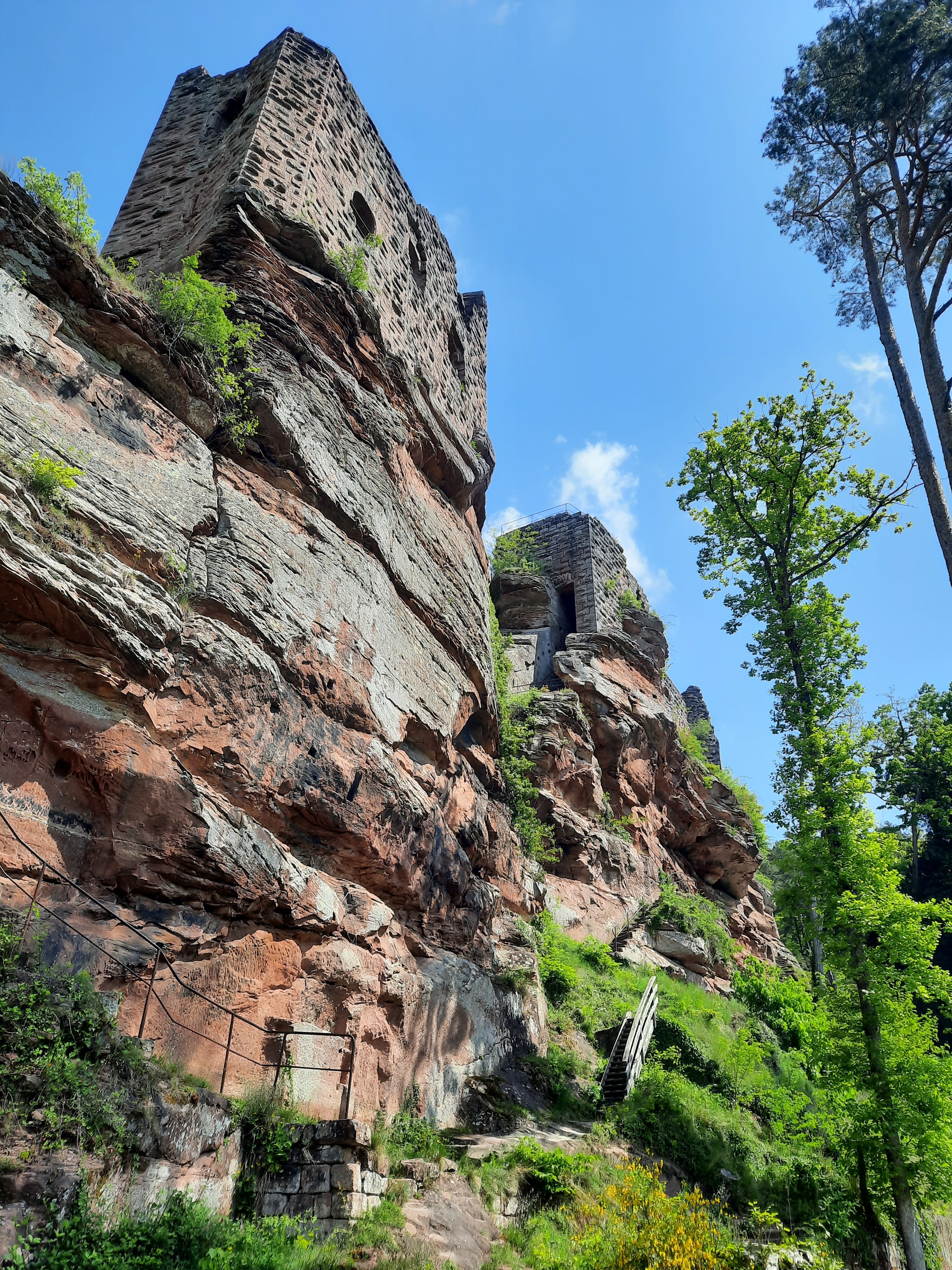 Photo n° 3 de l'avis de Diego.a fait le 08/05/2022 à 11:32