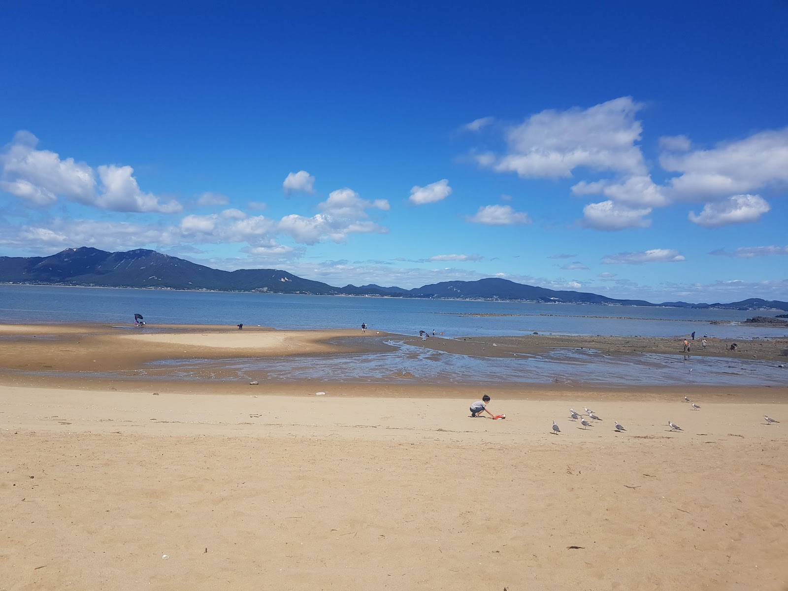 Foto von Sugi Beach mit beiger sand Oberfläche