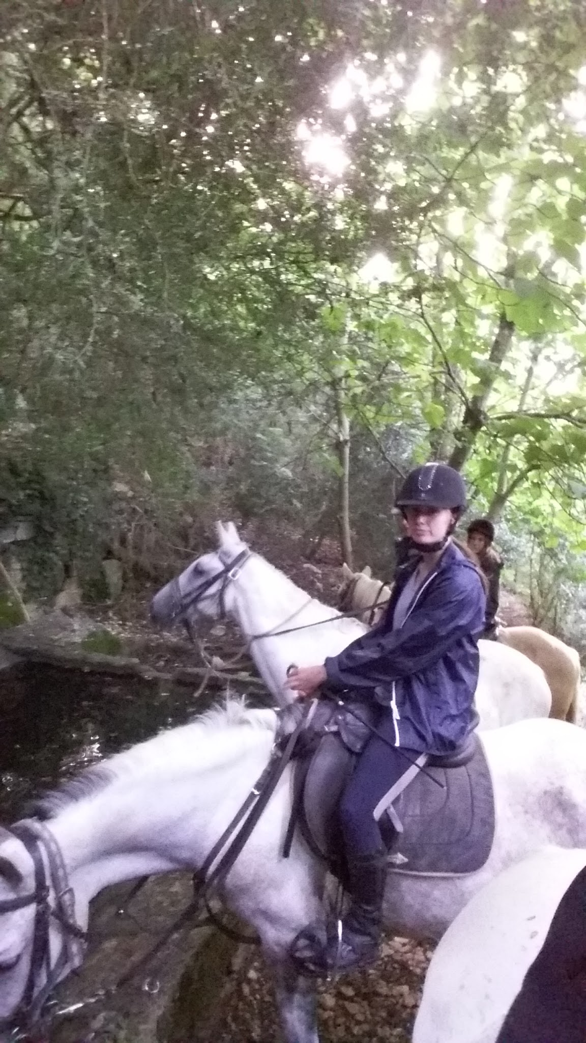 Photo n° 2 de l'avis de Jean-Christophe.E fait le 14/08/2017 à 16:24