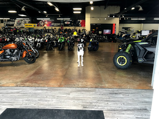 Motorcycle Dealer «Mountain Motorsports Lithia Springs», reviews and photos, 631 Thornton Rd, Lithia Springs, GA 30122, USA