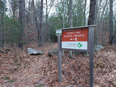 Cooks Pond Forest Loop Trail