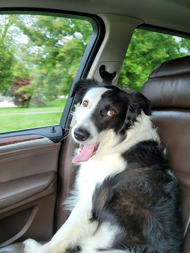 Golf Course «Seneca Golf Course», reviews and photos, 2300 Pee Wee Reese Rd, Louisville, KY 40205, USA