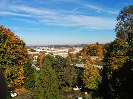Park «Macleay Park», reviews and photos, NW 29th Ave & Upshur St, Portland, OR 97210, USA