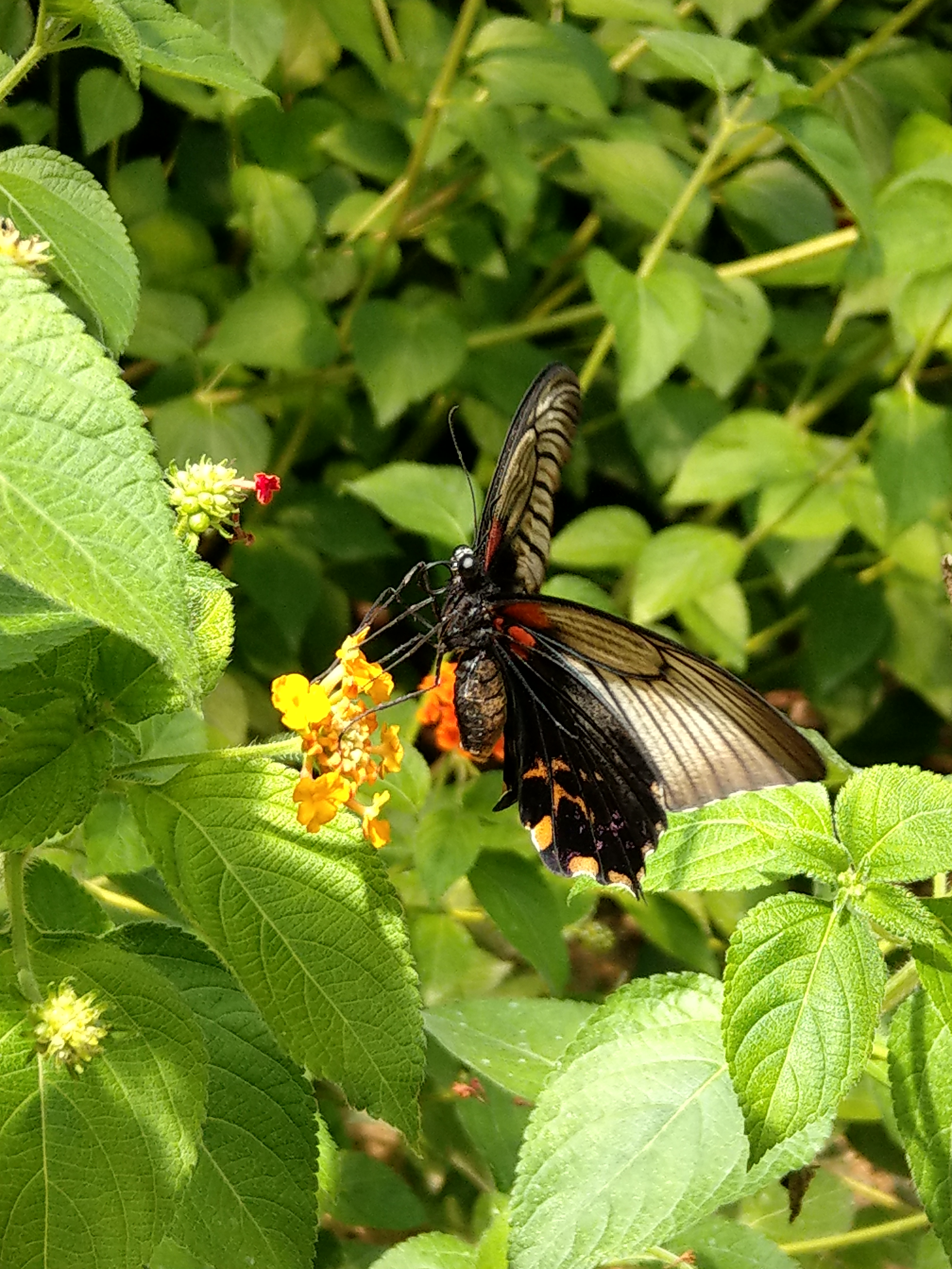 Photo n° 2 de l'avis de Sylvain-Emré.A fait le 02/07/2017 à 13:31