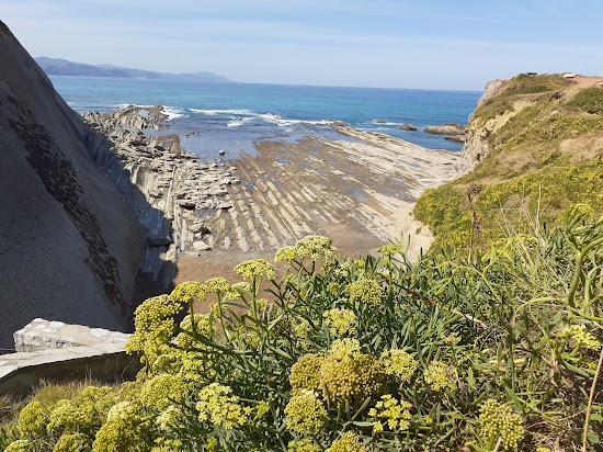 Algorri Beach