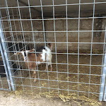 Photo n°5 de l'avis de Roberto.i fait le 08/08/2018 à 04:57 sur le  La Masseria à Ragusa