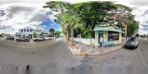 Harrison Gallery - photo 6