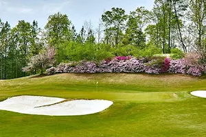 Windermere Golf Club image