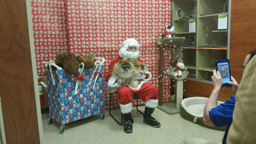 Pet Supply Store «PetSmart», reviews and photos, 215 Needham St, Newton, MA 02464, USA