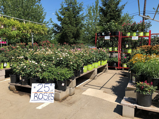 Home Improvement Store «The Home Depot», reviews and photos, 1515 US-22, Watchung, NJ 07069, USA