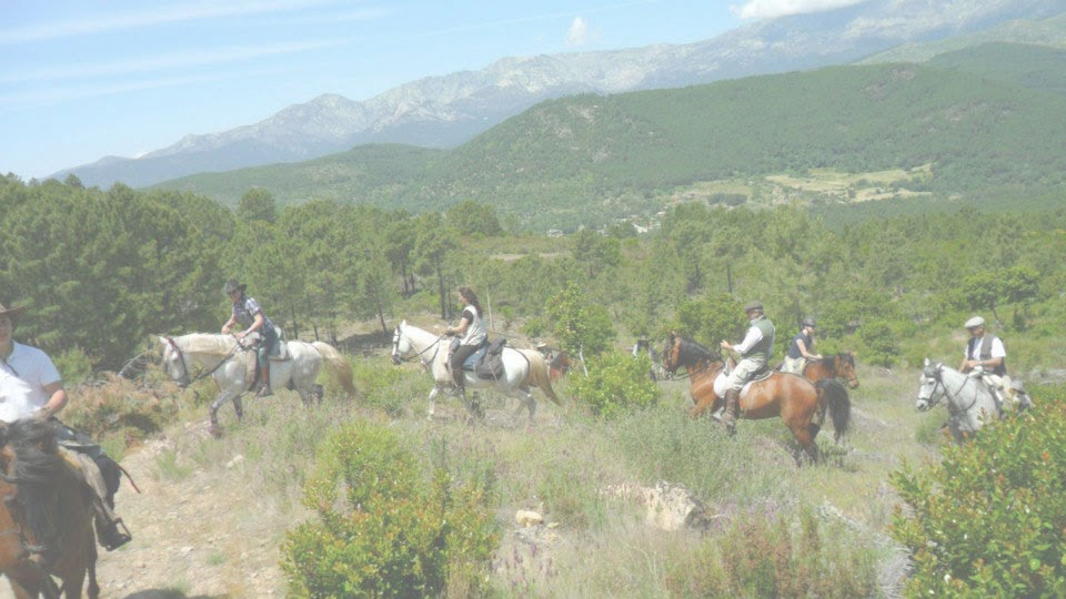 Paseos y Rutas a caballo Gredos Ecuestre
