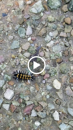 Bicycle Store «Harpers Ferry Outfitters & Bike Shop», reviews and photos, 129 Potomac St, Harpers Ferry, WV 25425, USA