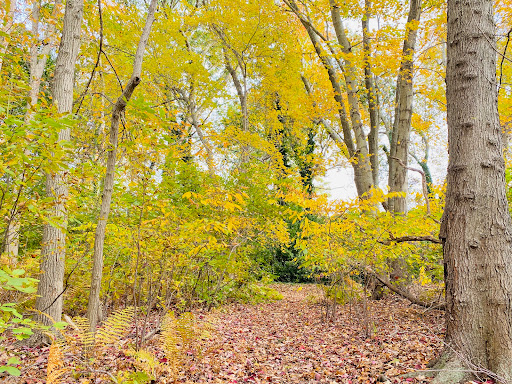 Park «Mansfield Park», reviews and photos, 85 Walker St, Massapequa Park, NY 11762, USA