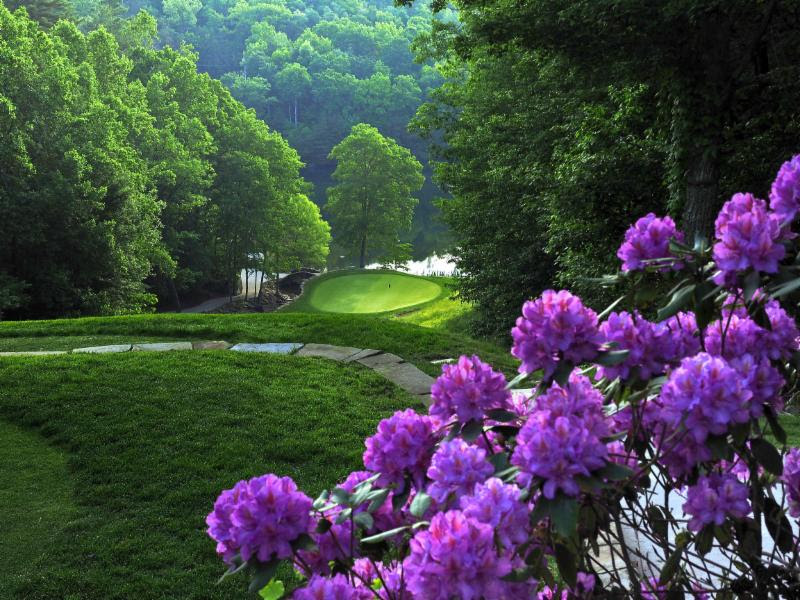 Tennessee Mountain Golf
